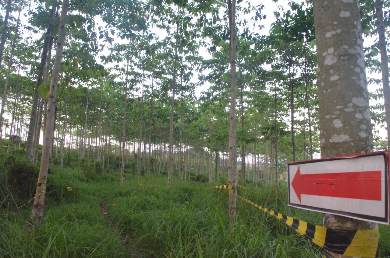 Ibis Budget Cikarang Festival Bekasi Exterior foto